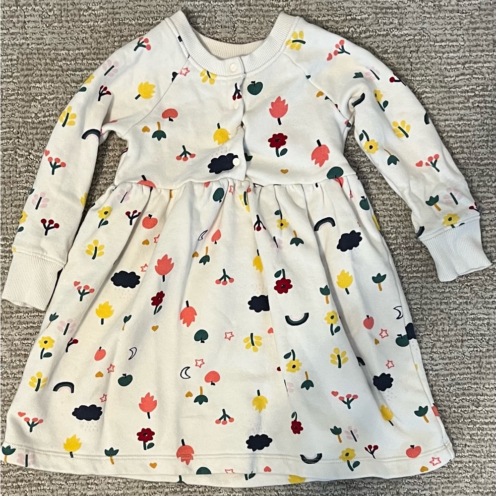 Hanna Anderson long sleeve dress